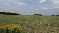 IMG_x18132_cr