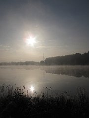 IMG_x18893_cr