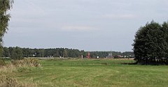 IMG_x19353_cr