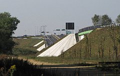 IMG_x20184_cr