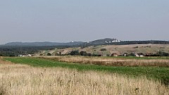 IMG_x20558_cr