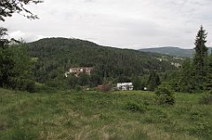 IMG_x25488_cr