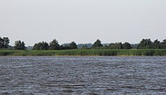 2012-07-02_19-19-21_IMG_x27236_cr