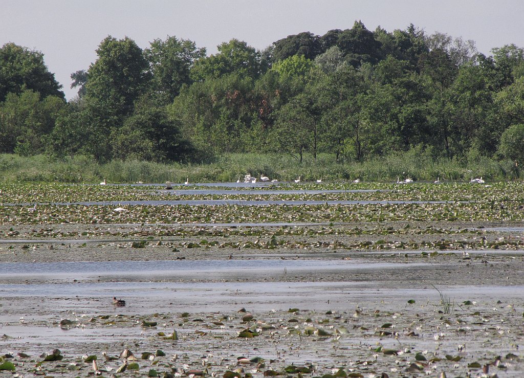 2012-07-02_09-24-06_IMG_x26761_cr.jpg -                                