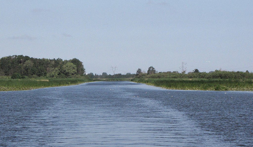 2012-07-02_09-25-29_IMG_x26781_cr.jpg -                                