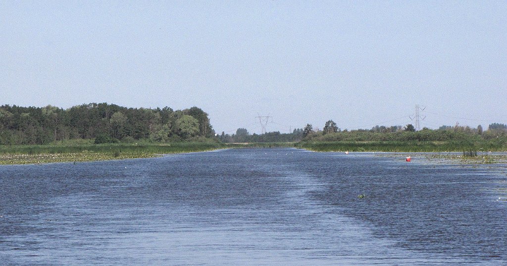 2012-07-02_09-29-31_IMG_x26785_cr.jpg -                                