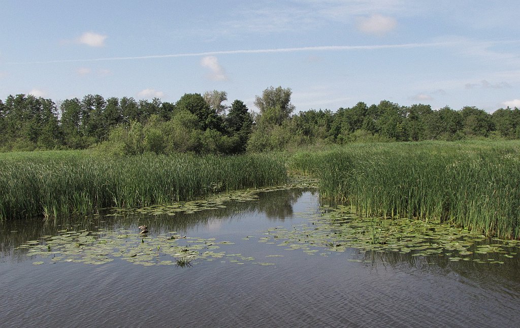 2012-07-02_09-33-49_IMG_x26805_cr.jpg -                                