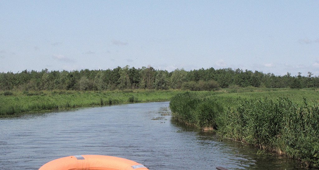 2012-07-02_10-14-59_IMG_x26806_cr.jpg -                                