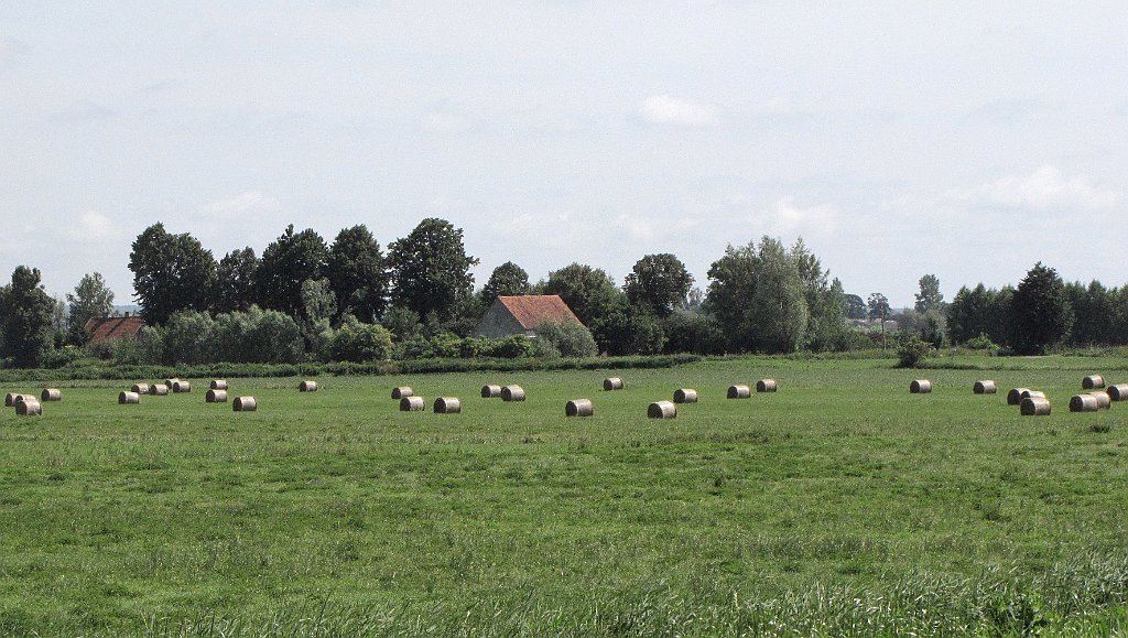 2012-07-02_10-17-29_IMG_x26813_cr.jpg -                                