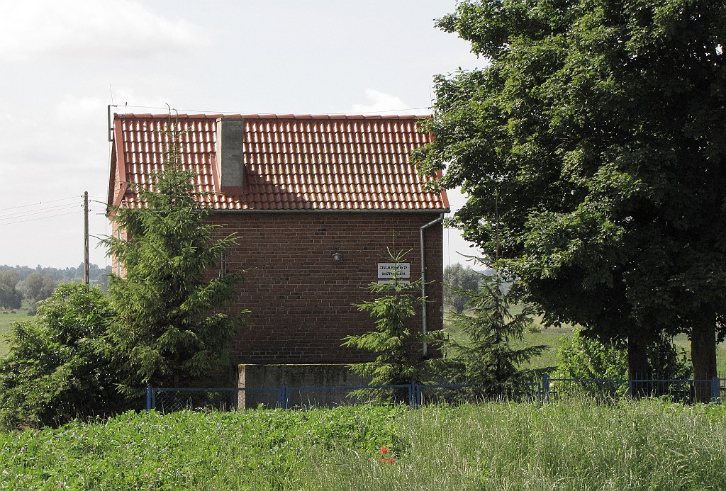 2012-07-02_10-18-12_IMG_x26814_cr.jpg -                                