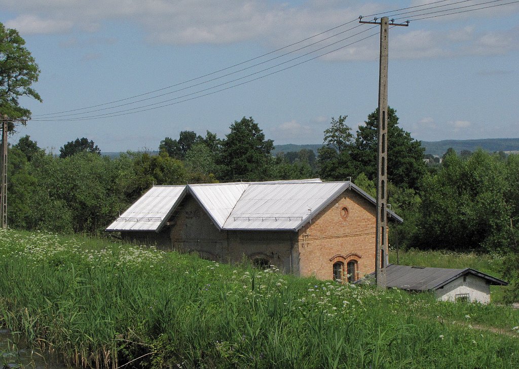 2012-07-02_11-02-30_IMG_x26900_cr.jpg -                                