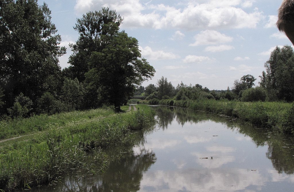 2012-07-02_11-06-30_IMG_x26907_cr.jpg -                                