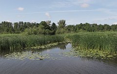 2012-07-02_09-33-49_IMG_x26805_cr