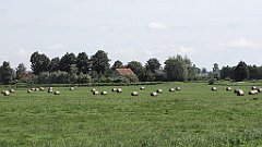 2012-07-02_10-17-29_IMG_x26813_cr