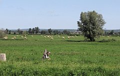 2012-07-02_10-20-25_IMG_x26818_cr