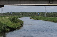 2012-07-02_10-22-39_IMG_x26828_cr