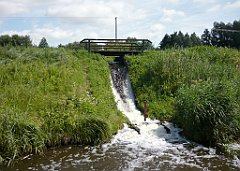 2012-07-02_11-16-55_P1060094_cr