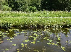 2012-07-02_11-44-33_P1060117_cr