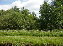 2012-07-02_11-44-43_P1060118_cr