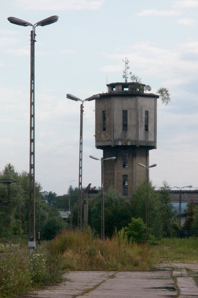 X44_P07110098_cr.jpg - OLYMPUS DIGITAL CAMERA         