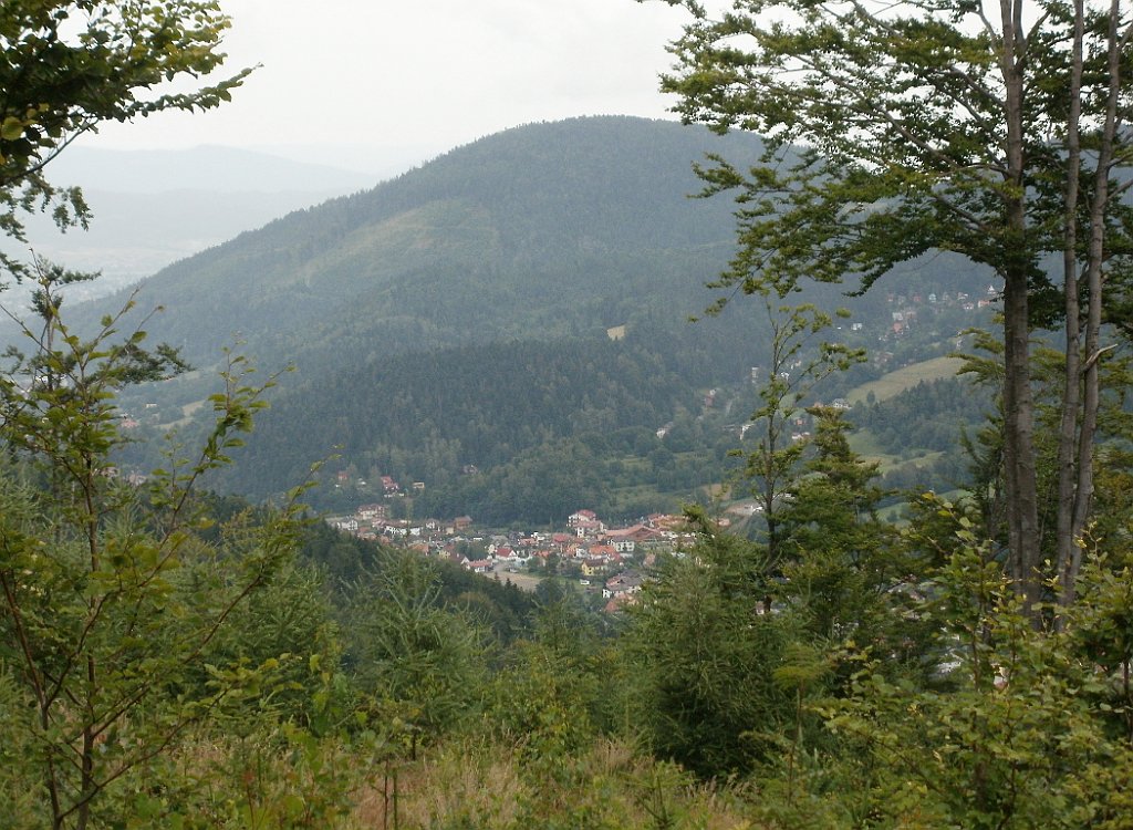 X44_P07130170_cr.jpg - OLYMPUS DIGITAL CAMERA         