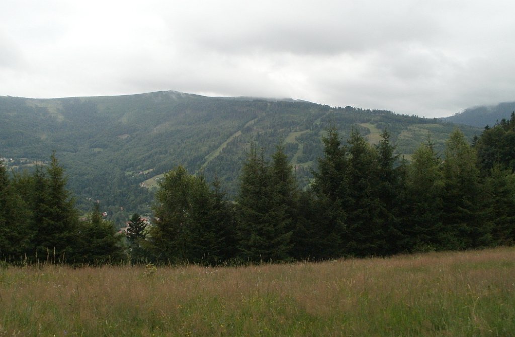 X44_P07130193_cr.jpg - OLYMPUS DIGITAL CAMERA         