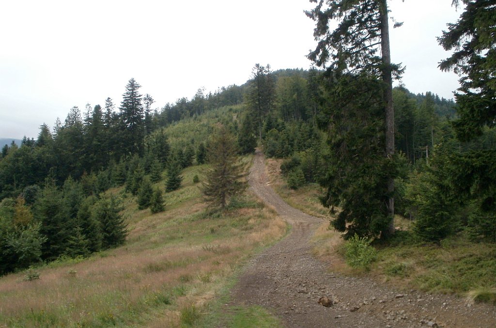 X44_P07130195_cr.jpg - OLYMPUS DIGITAL CAMERA         