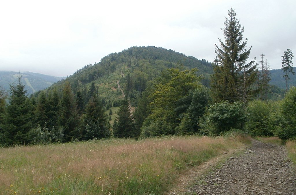 X44_P07130196_cr.jpg - OLYMPUS DIGITAL CAMERA         