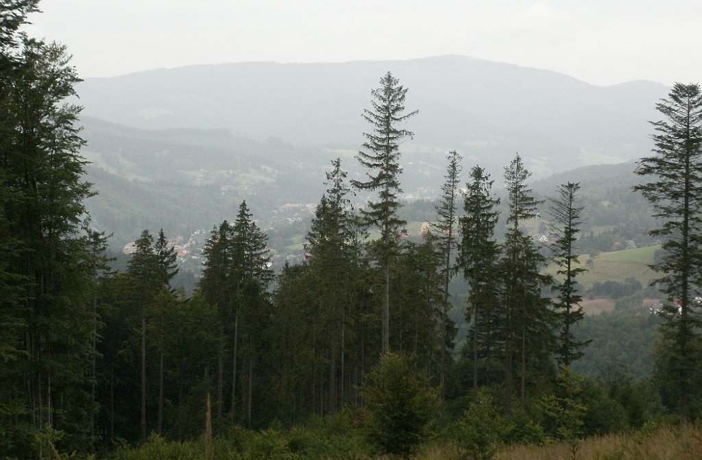 X44_P07130204_cr.jpg - OLYMPUS DIGITAL CAMERA         