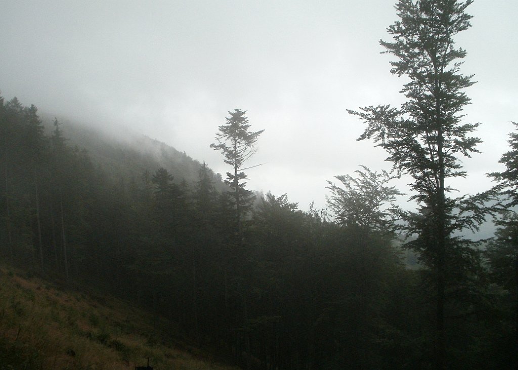 X44_P07130208_cr.jpg - OLYMPUS DIGITAL CAMERA         