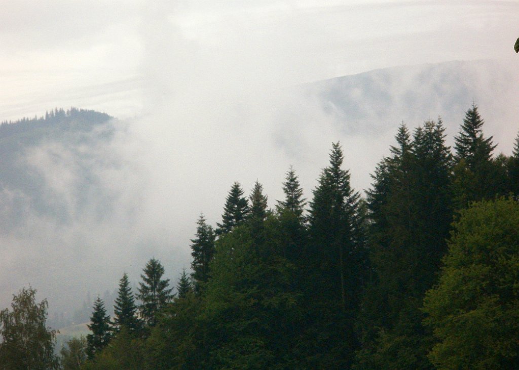 IMG_x28736_X44_P07300005_cr.jpg - OLYMPUS DIGITAL CAMERA         