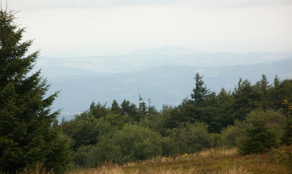 IMG_x29814_X44_P08150280_cr.jpg - OLYMPUS DIGITAL CAMERA         