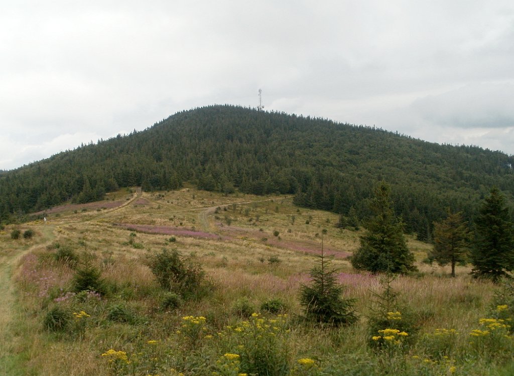 IMG_x29814_X44_P08150283_cr.jpg - OLYMPUS DIGITAL CAMERA         