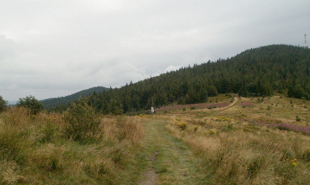 IMG_x29814_X44_P08150294_cr.jpg - OLYMPUS DIGITAL CAMERA         