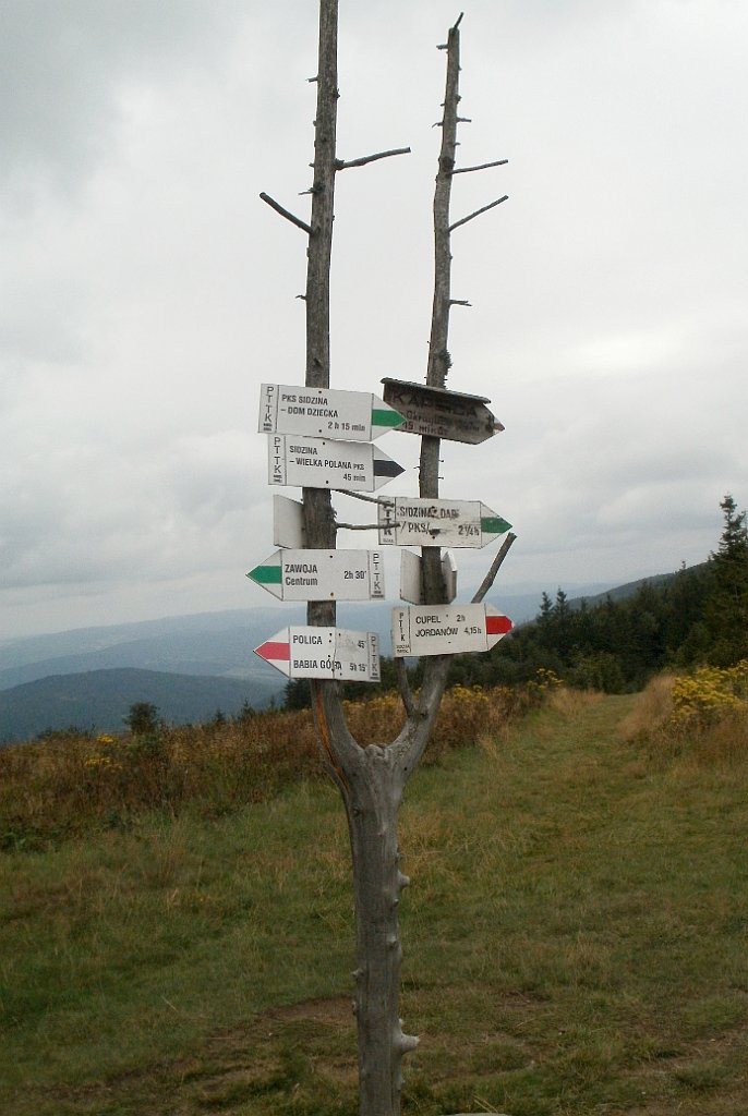 IMG_x29814_X44_P08150296_cr.jpg - OLYMPUS DIGITAL CAMERA         