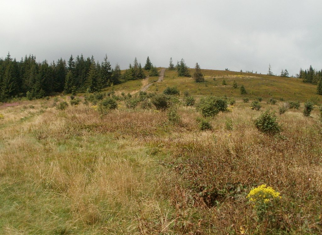 IMG_x29814_X44_P08150307_cr.jpg - OLYMPUS DIGITAL CAMERA         