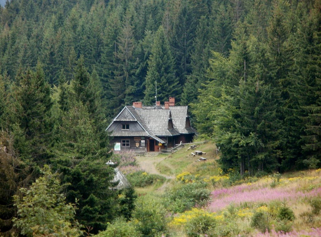 IMG_x29814_X44_P08150311_cr.jpg - OLYMPUS DIGITAL CAMERA         