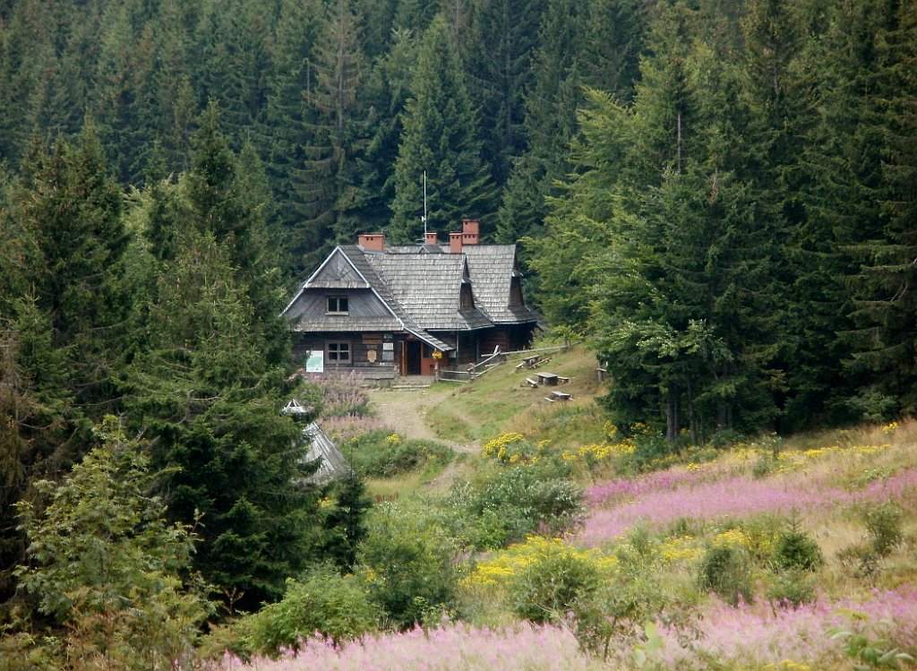 IMG_x29814_X44_P08150312_cr.jpg - OLYMPUS DIGITAL CAMERA         