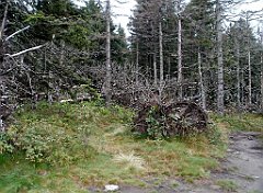 IMG_x29814_X44_P08150268_cr