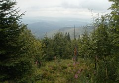 IMG_x29814_X44_P08150275_cr