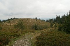 IMG_x29814_X44_P08150279_cr