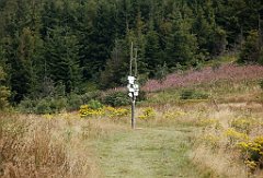 IMG_x29814_X44_P08150295_cr