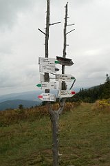 IMG_x29814_X44_P08150296_cr