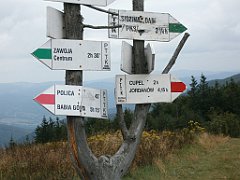 IMG_x29814_X44_P08150297_cr