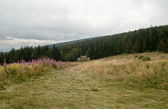 IMG_x29814_X44_P08150308_cr