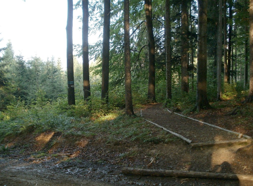 X44_P08230347_cr.jpg - OLYMPUS DIGITAL CAMERA         