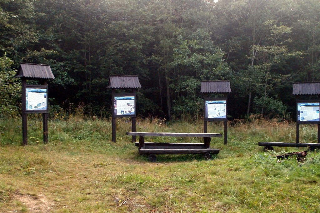 X44_P08230349_cr.jpg - OLYMPUS DIGITAL CAMERA         