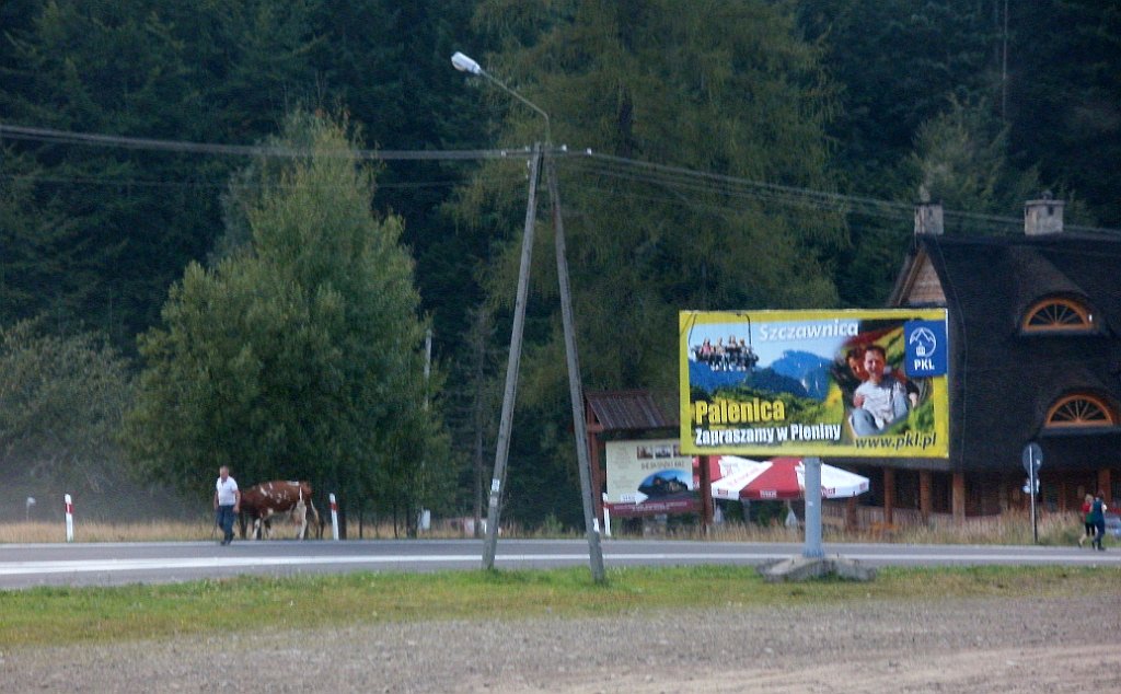 X44_P08230383_cr.jpg - OLYMPUS DIGITAL CAMERA         