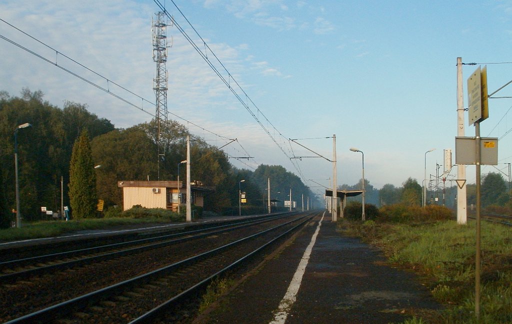 IMG_x33700_X44_P09230843_cr.jpg - OLYMPUS DIGITAL CAMERA         