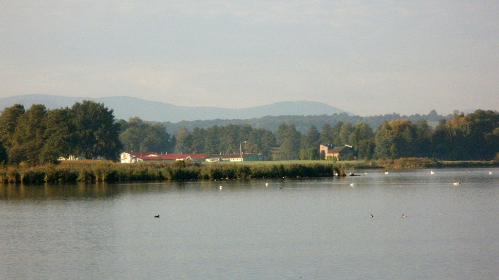 IMG_x33700_X44_P09230853_cr.jpg - OLYMPUS DIGITAL CAMERA         